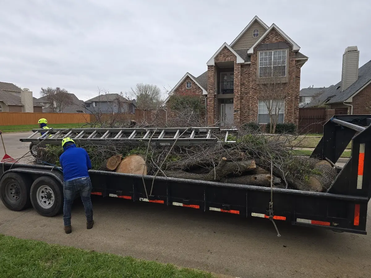 Expert Tree Removal with proper safety equipment in Tallula